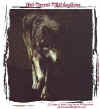 Copy_of_sswolf_small.jpg (2461 bytes)